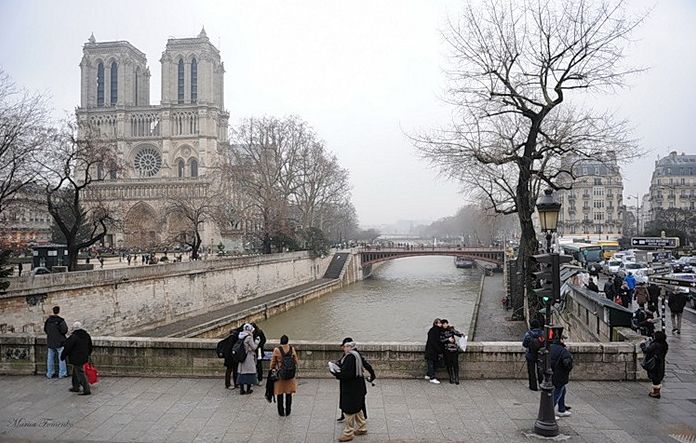 Вид с Малого моста Парижа зимой